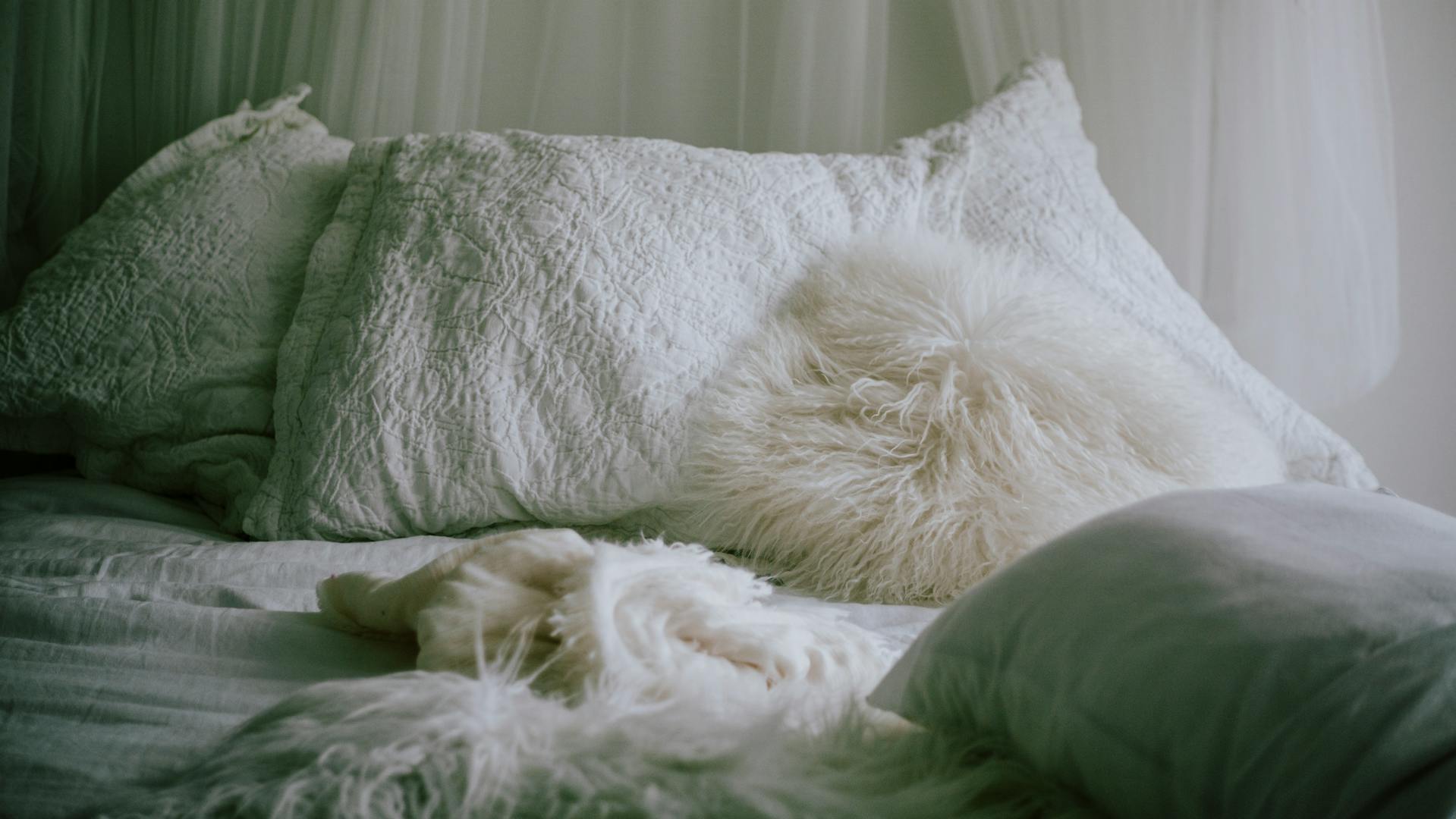 Una cama cómoda | Fuente: Pexels