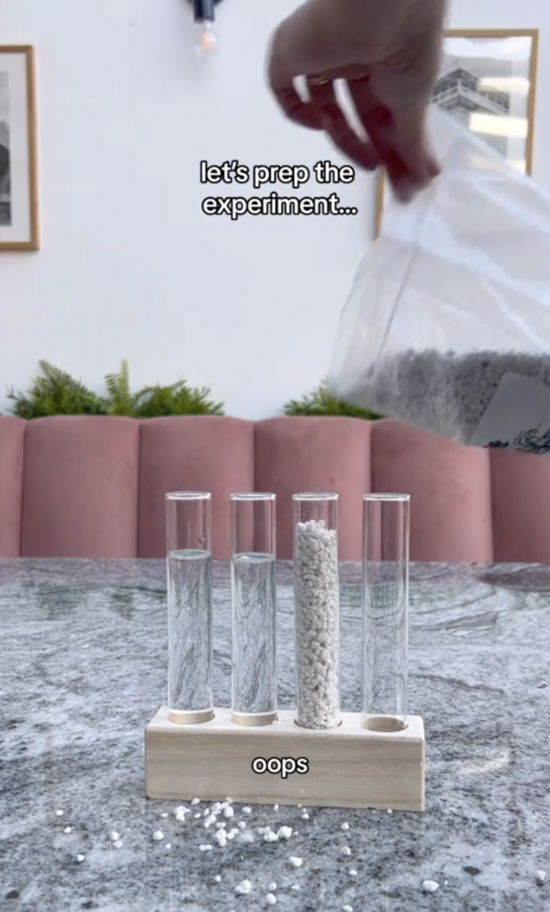 Un tubo de ensayo para el experimento de propagación siendo llenado con perlita en un clip subido el 5 de octubre de 2024 | Fuente: TikTok/thelittlelifelately