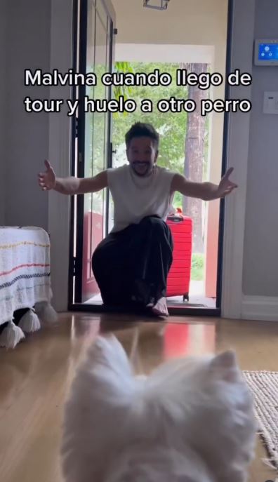 Camilo y su perrita Malvina | Fuente: Instagram.com/camilo