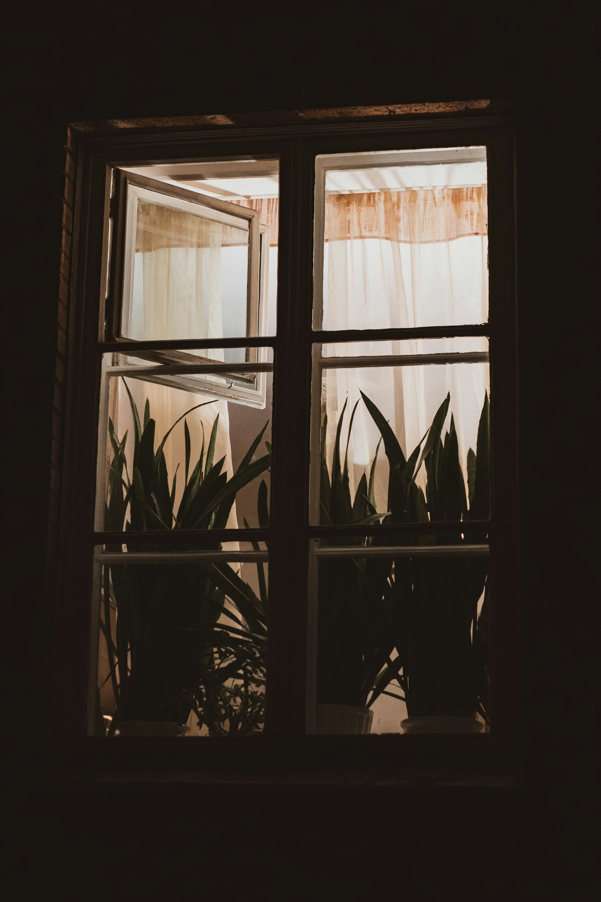 Una ventana | Fuente: Unsplash