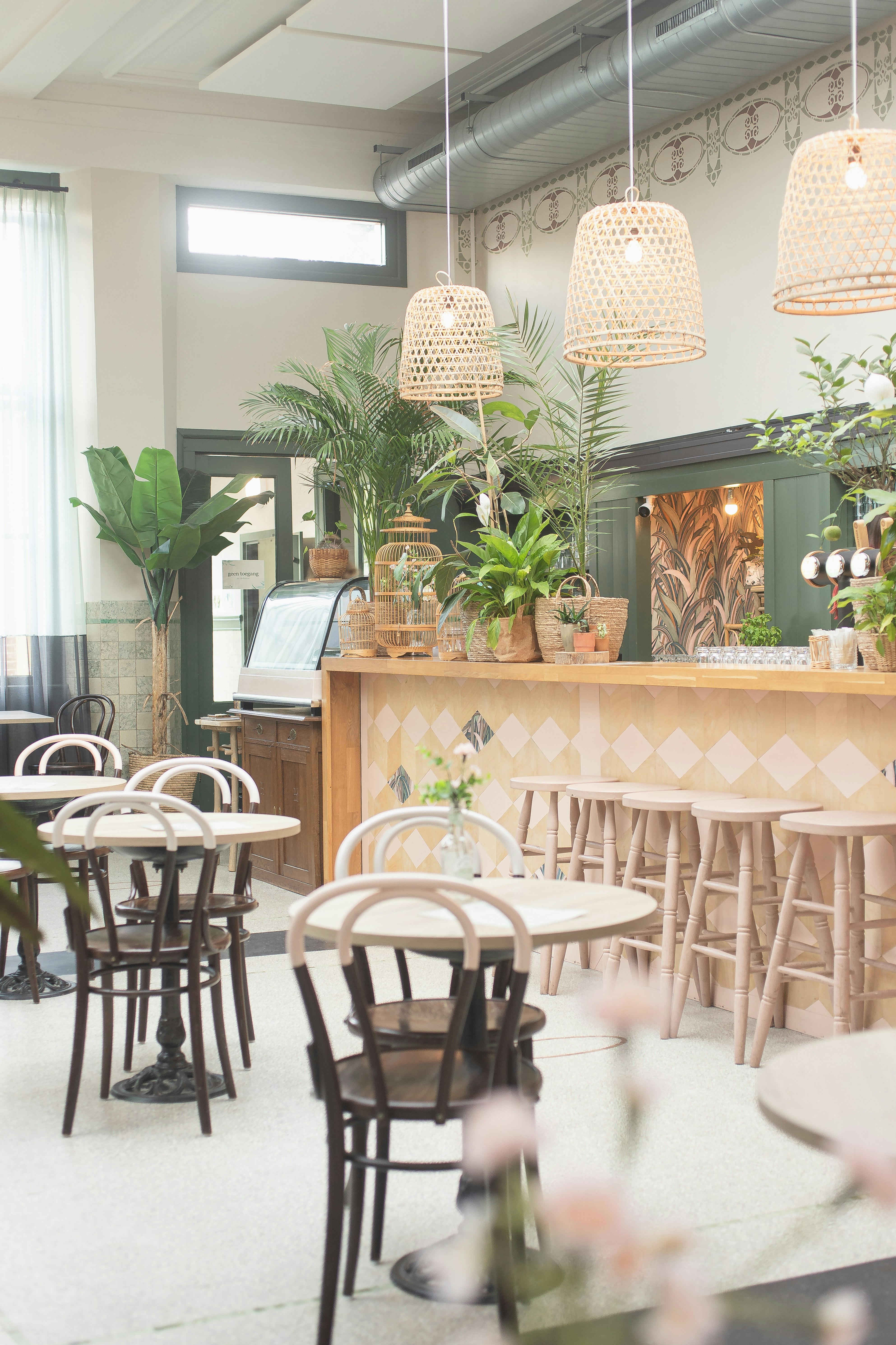Interior de una cafetería | Fuente: Unsplash