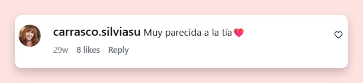Comentario de una usuaria | Fuente: Instagram/claradarin