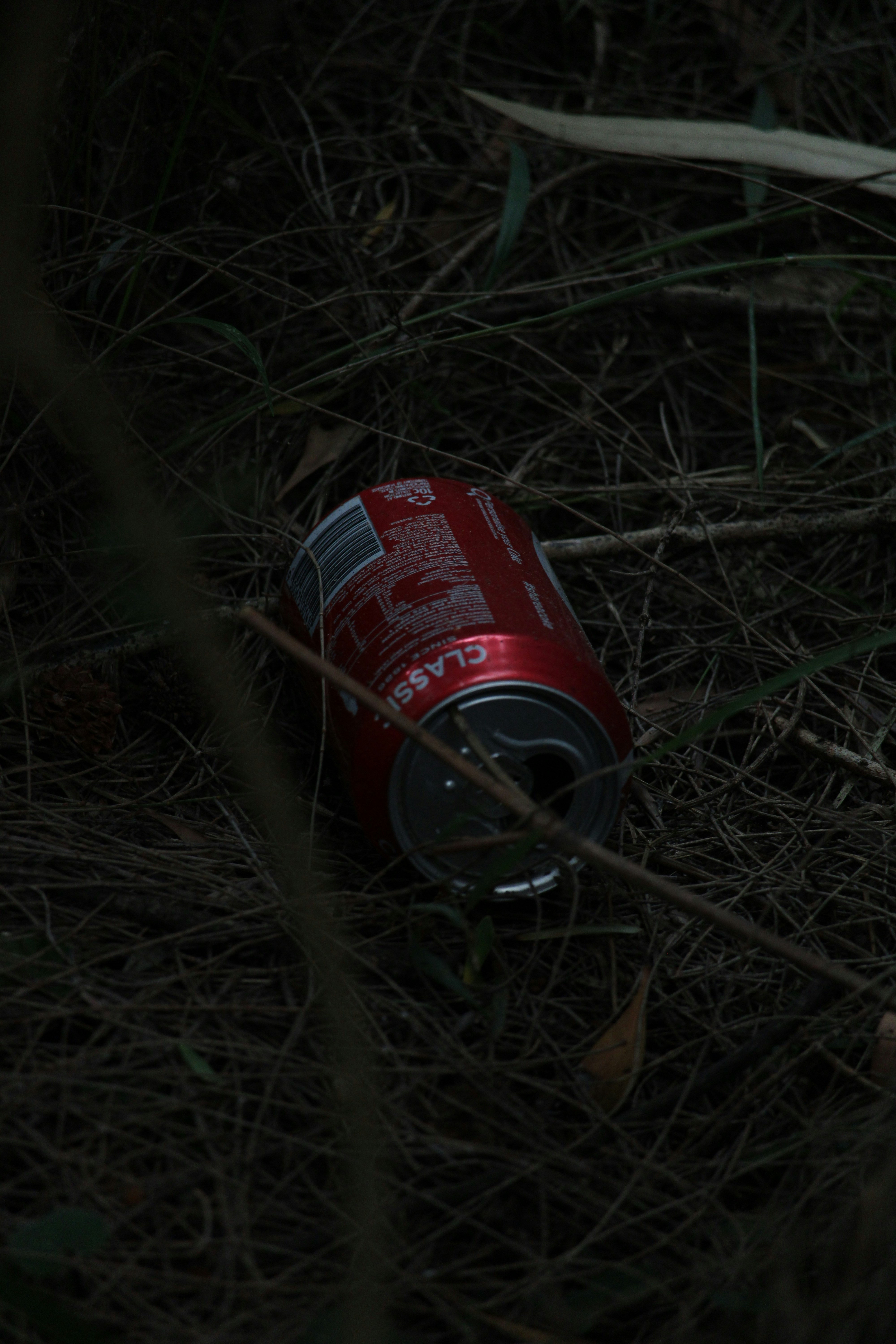 Una lata de refresco vacía tirada en la hierba | Fuente: Unsplash