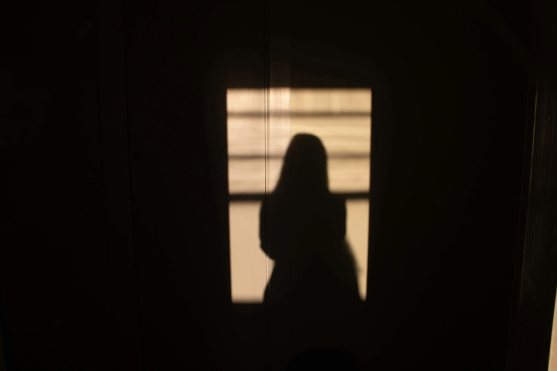 Silueta de la sombra de una mujer | Fuente: Unsplash