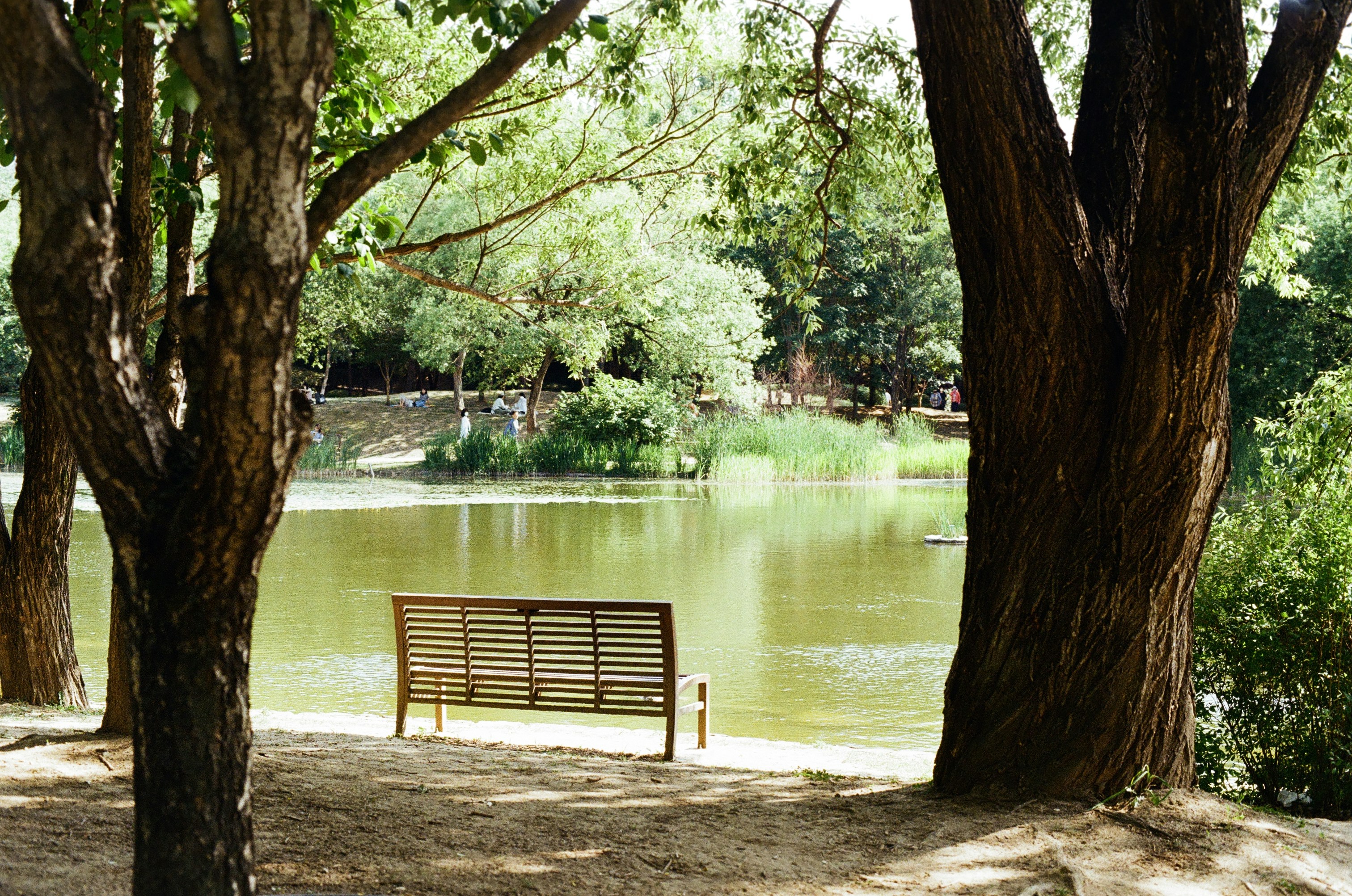 Un banco en un parque | Fuente: Unsplash