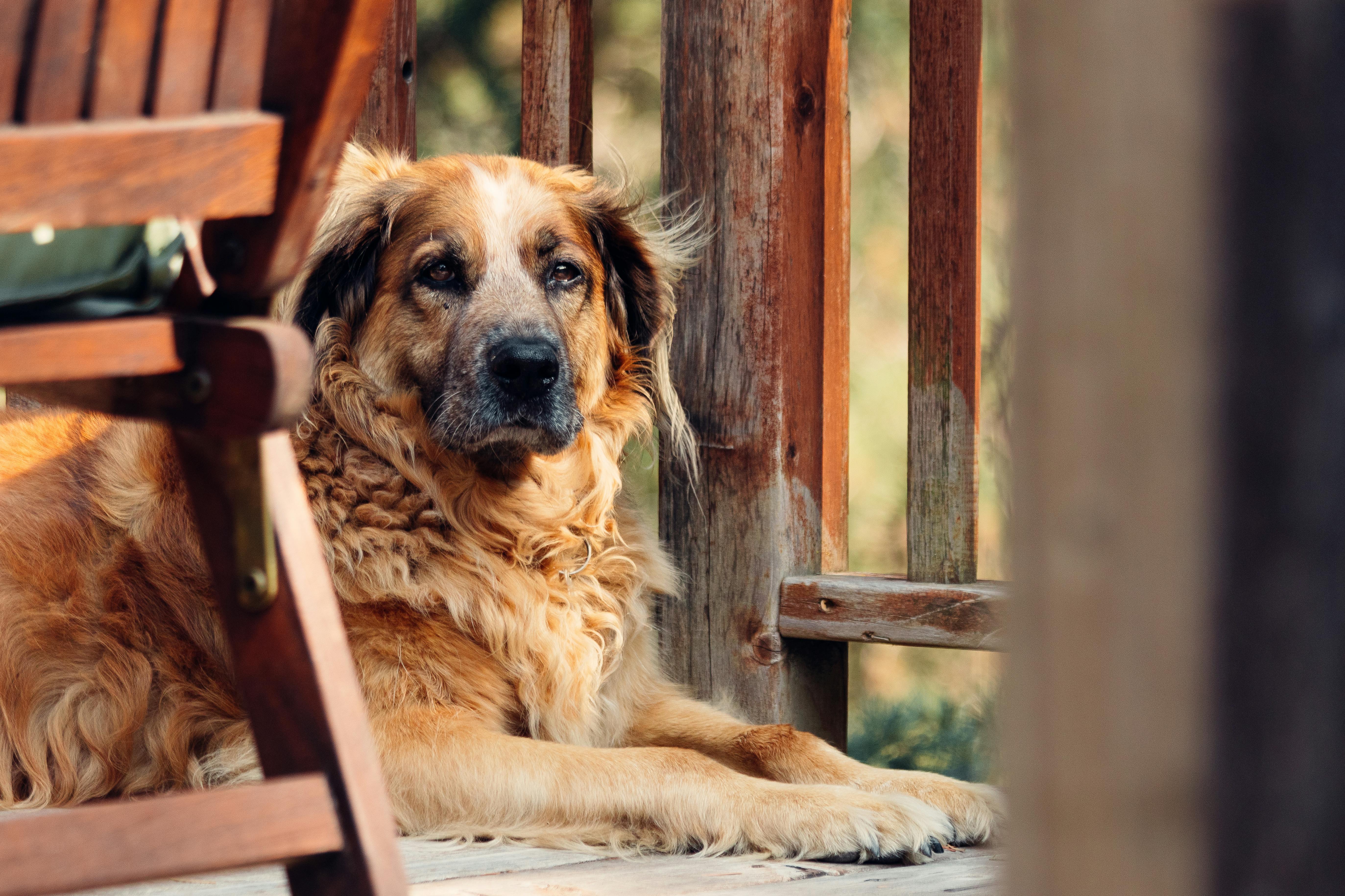 Imagen con fines ilustrativos | Foto: Pexels
