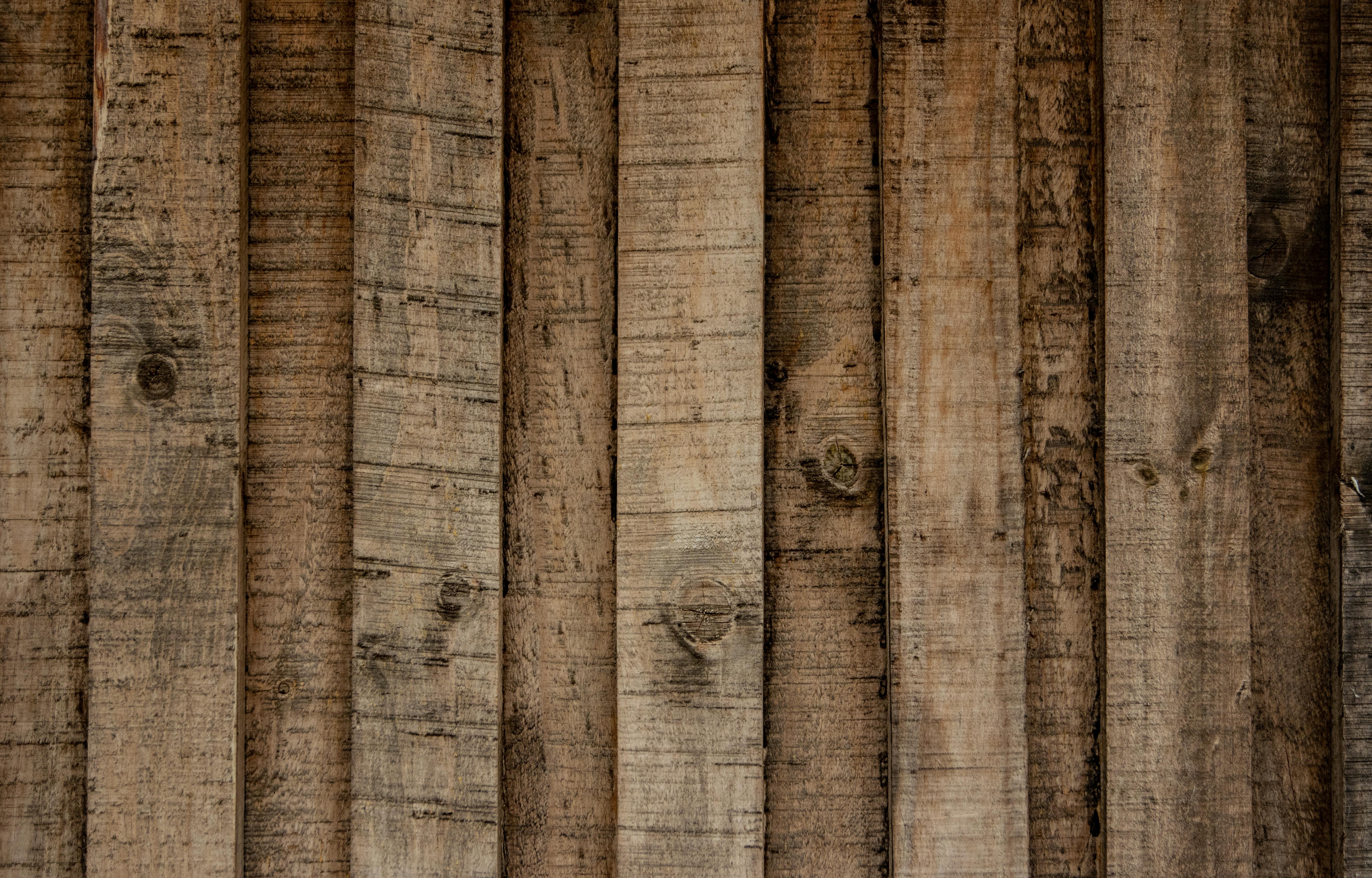 Paneles de pared de madera | Fuente: Pexels