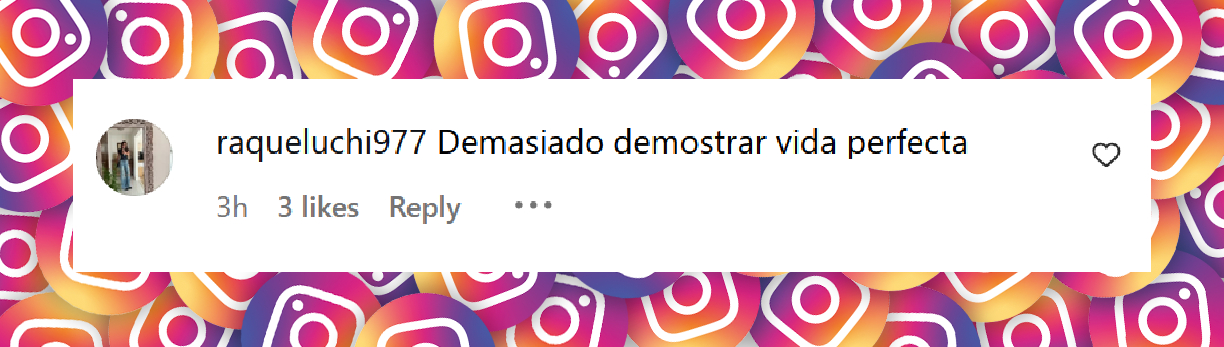 Comentario de un usuario en una publicación de Luisana Lopilato y Michael Bublé en Instagram | Fuente: Instagram/luisanalopilato