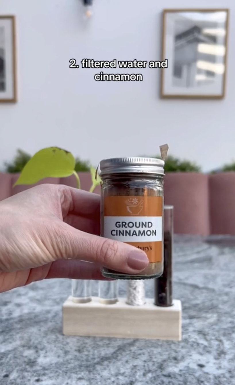 Un frasco de canela molida para el experimento de propagación en un clip subido el 5 de octubre de 2024 | Fuente: TikTok/thelittlelifelately
