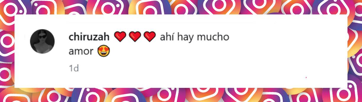 Comentario de una usuaria | Fuente: Instagram/mariasusini