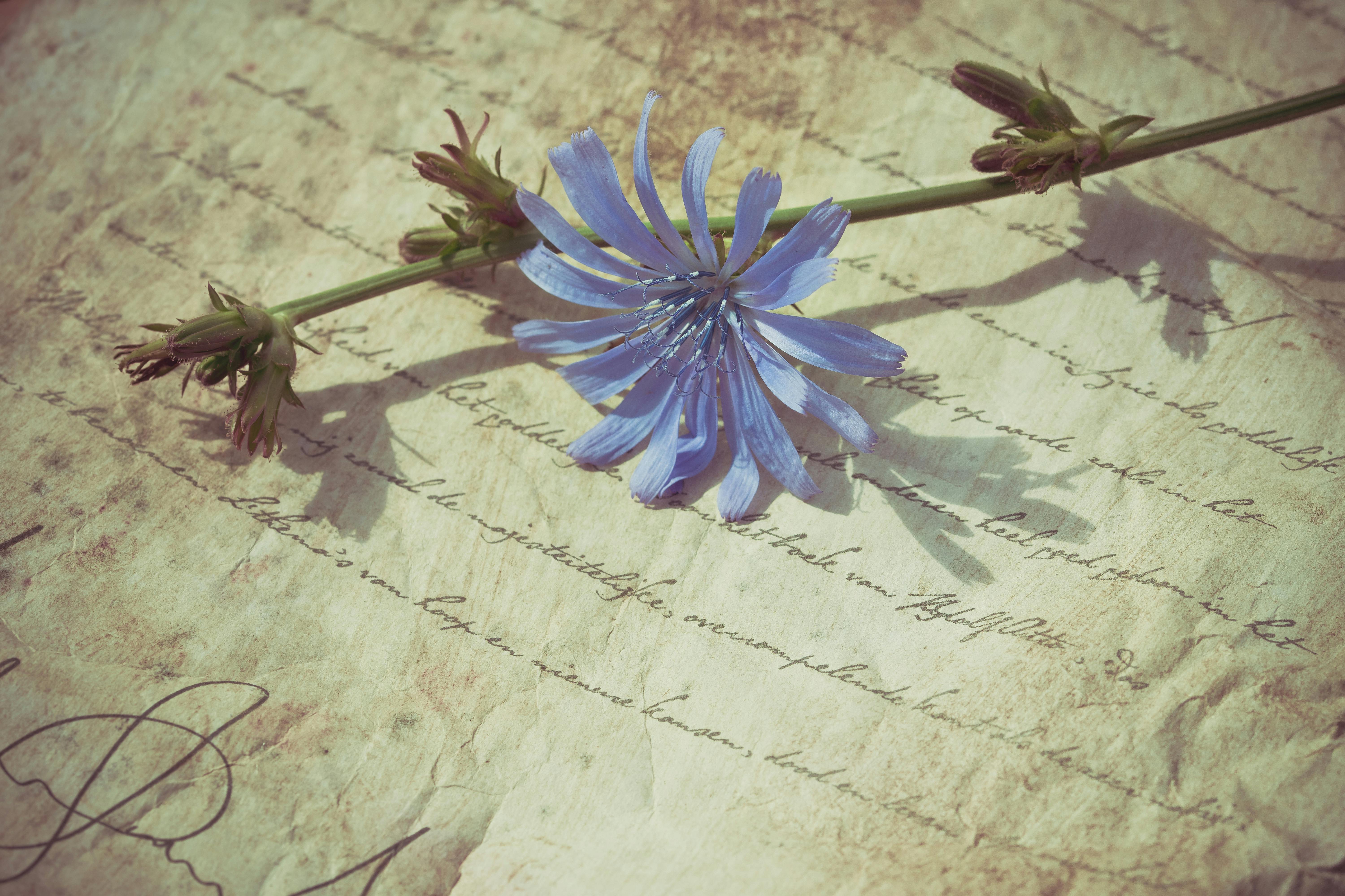 Imagen con fines ilustrativos | Foto: Pexels