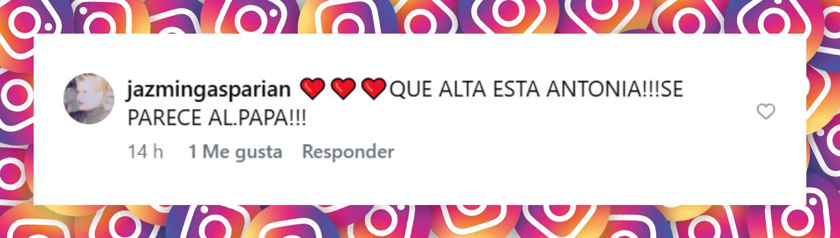 Comentario de una usuaria | Fuente: Instagram/mauriciomacri