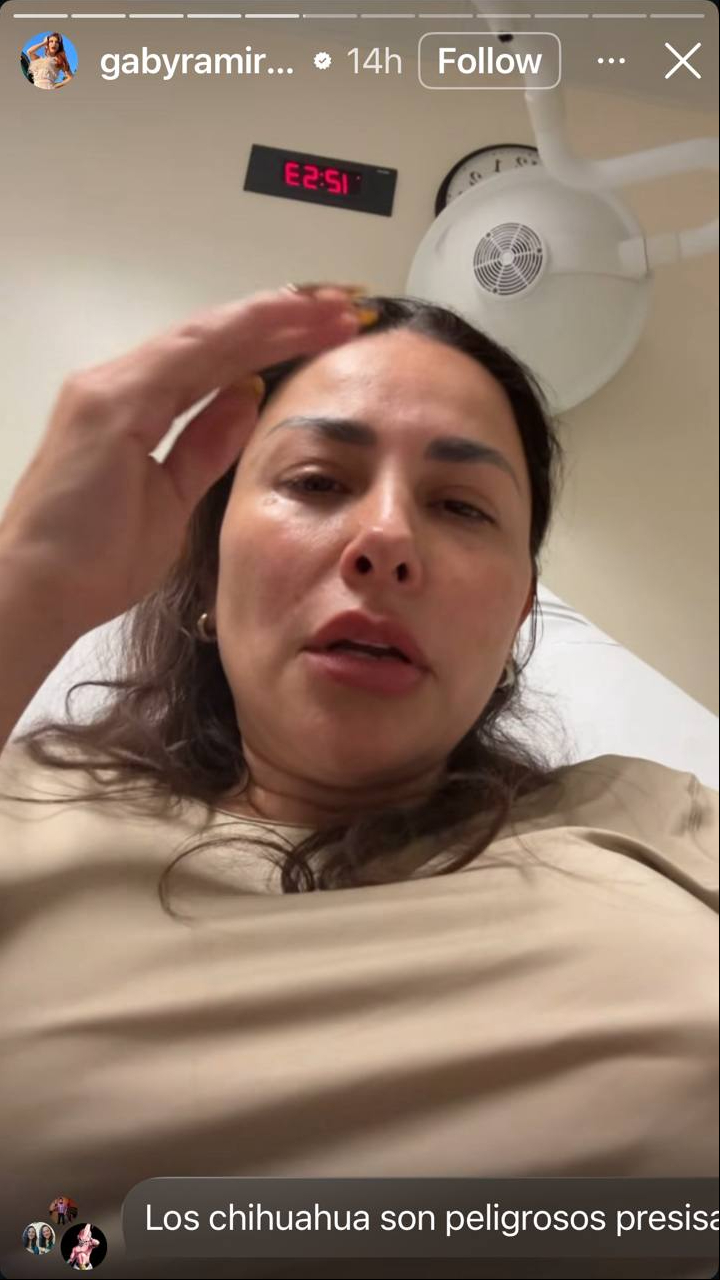 Gaby Ramírez fue mordida por un perro. | Fuente: Instagram/@gabyramireztv
