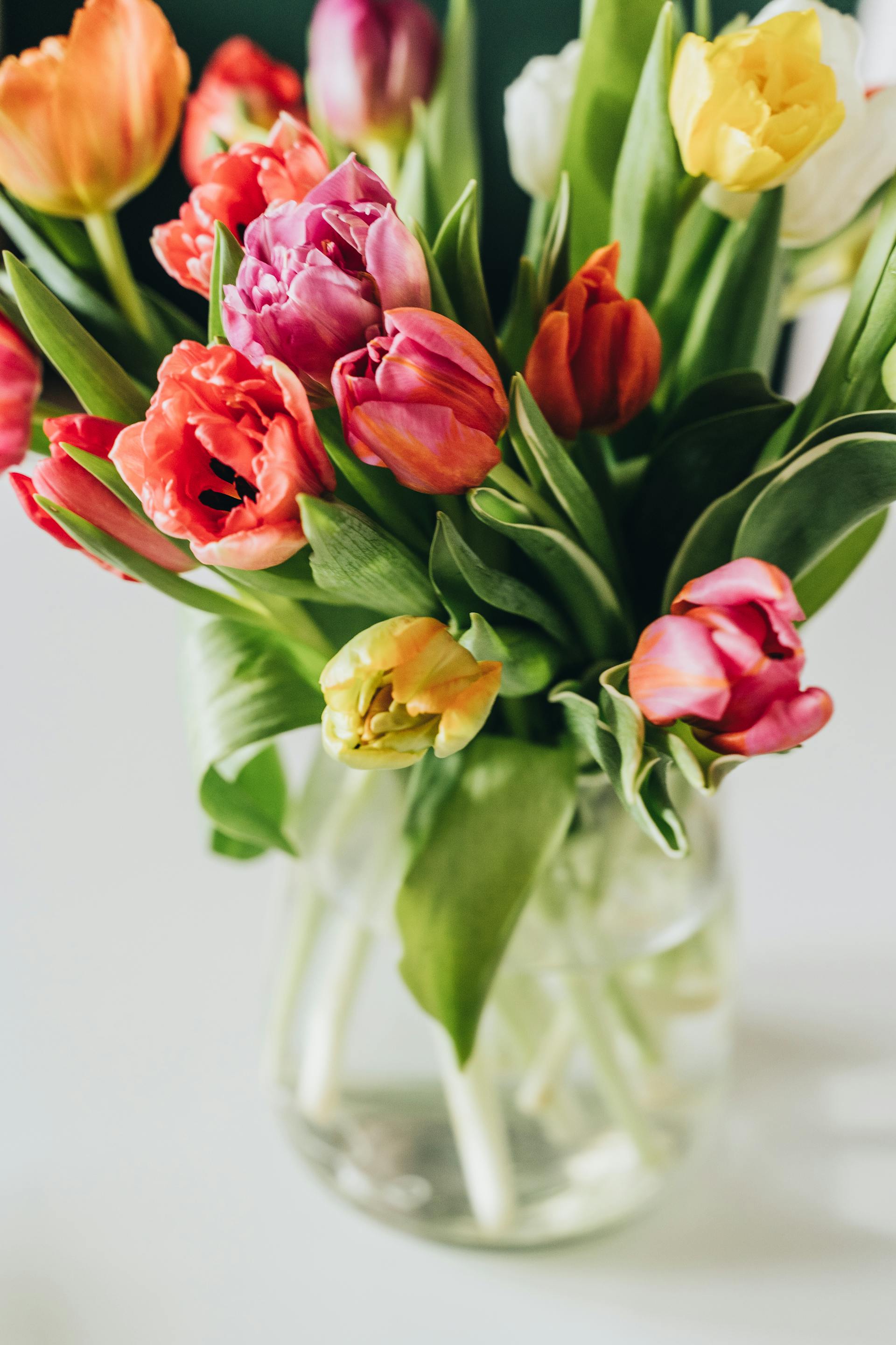 Tulipanes en un jarrón | Fuente: Pexels