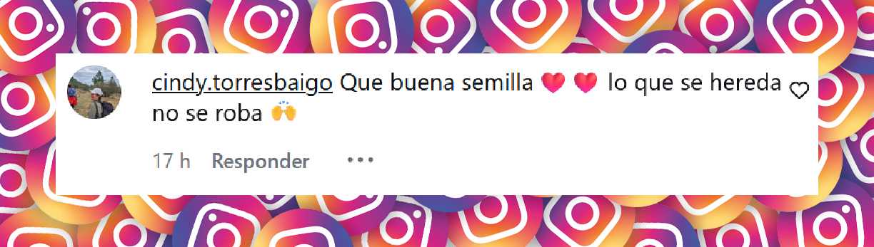Comentario de una usuaria sobre Jerónimo Weich, el hijo de Julián Weich, en la publicación de su padre sobre el trabajo de su hijo como brigadista que combate los incendios en la Patagonia | Fuente: Instagram/julian_weich