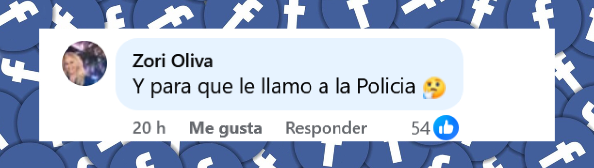 Comentario de un usuario sobre el incidente doméstico entre Emily Estefan y Gemeny Hernández | Fuente: Facebook/Telemundo 51