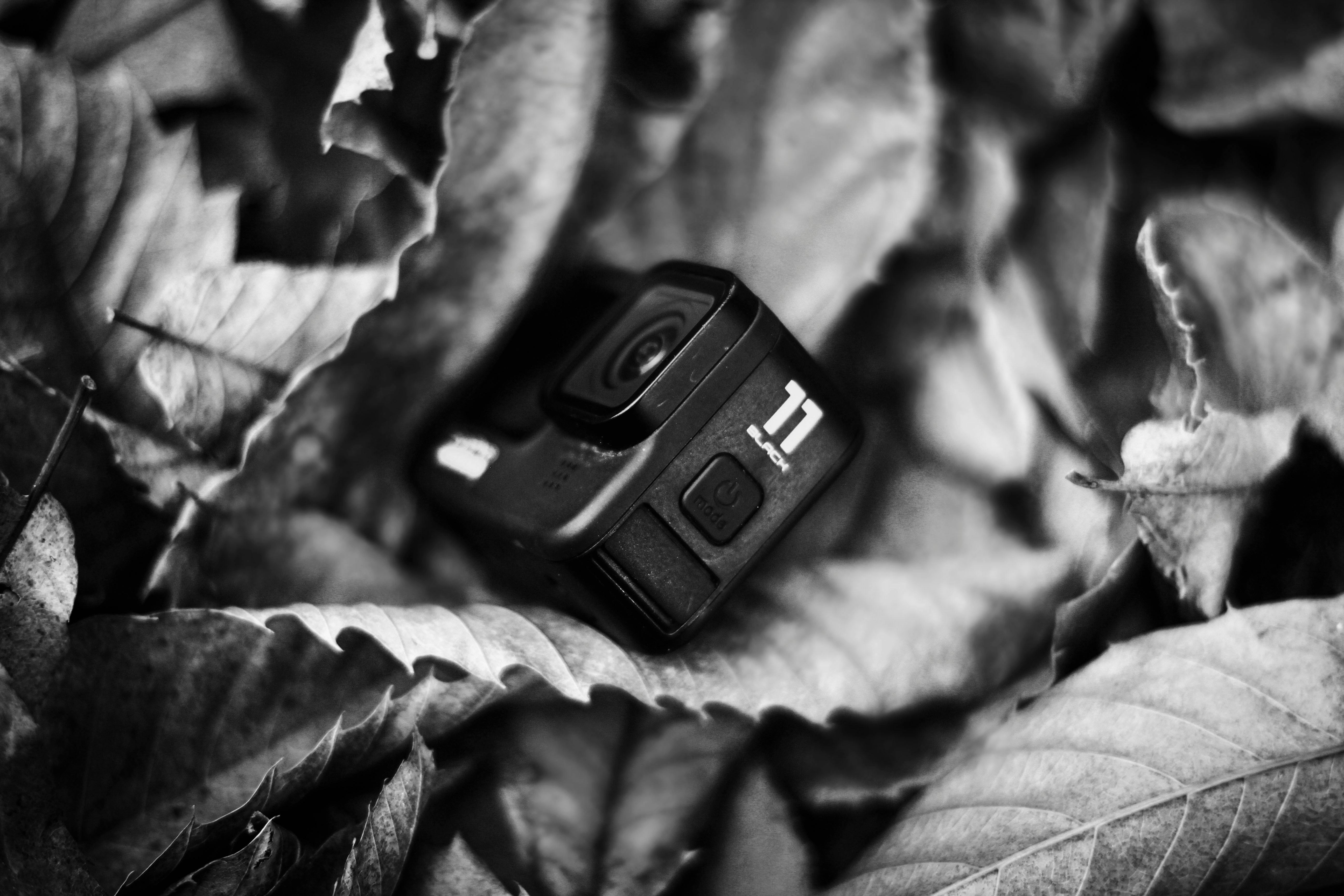 Imagen con fines ilustrativos | Foto: Pexels