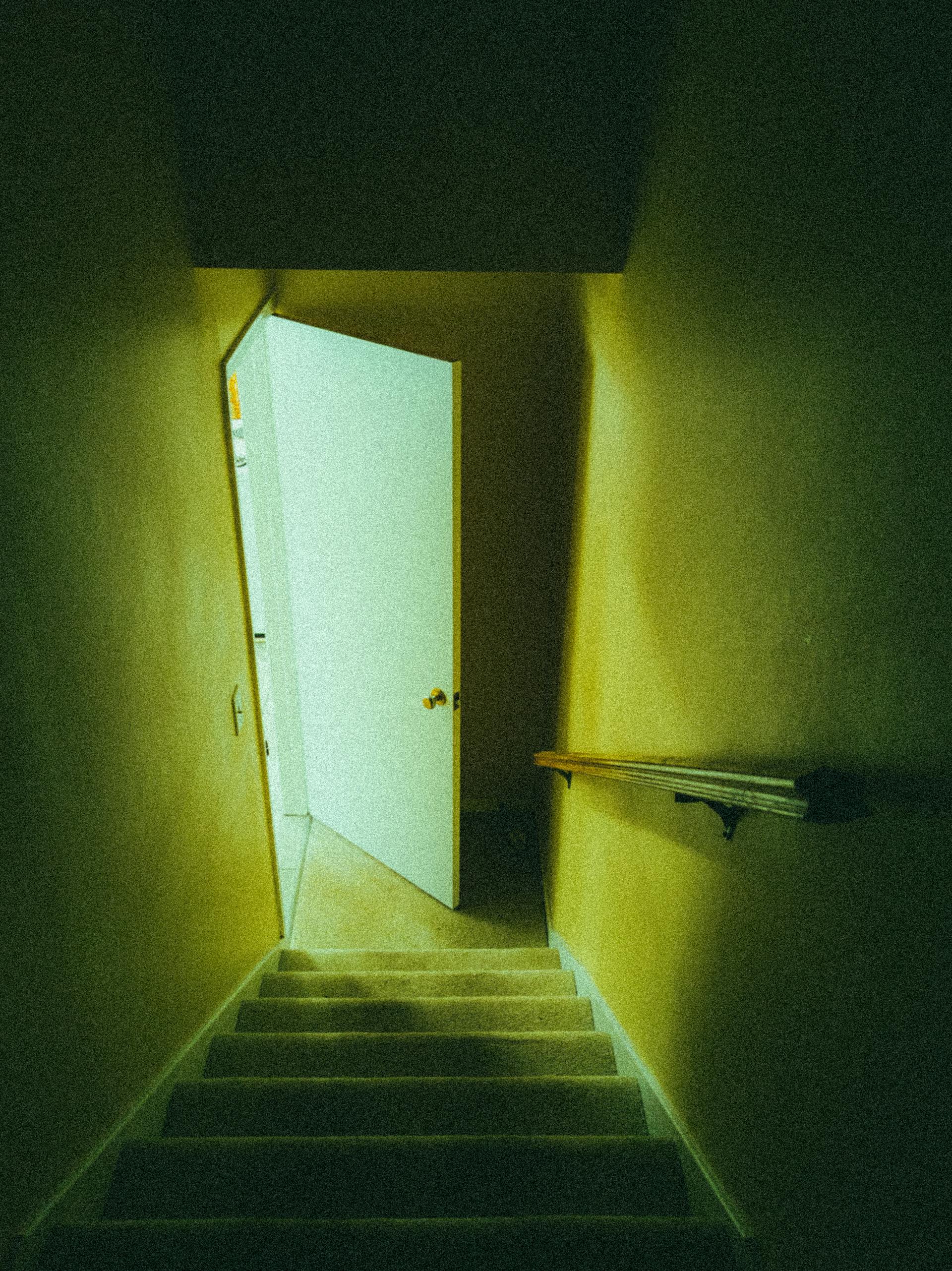 Una serie de escalones y una puerta que conducen a un sótano | Fuente: Pexels