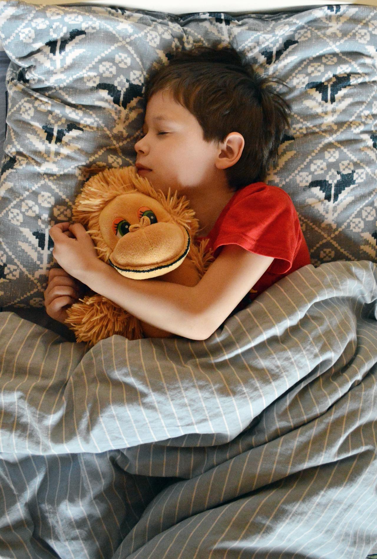 Un niño abrazando a su peluche y durmiendo en su habitación | Fuente: Pexels