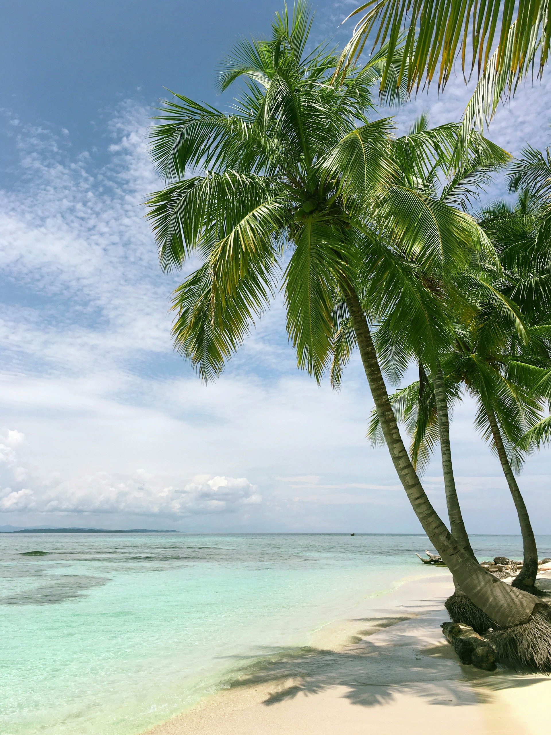 Una playa | Fuente: Unsplash