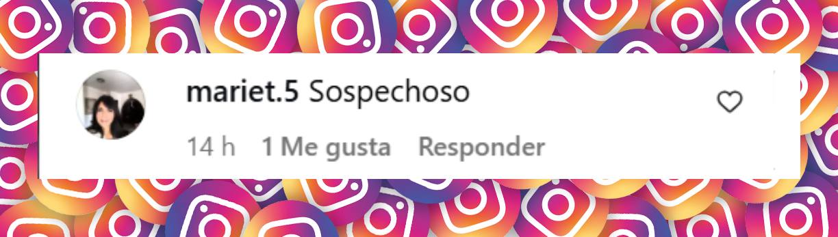 Comentario de una internauta sobre el caso | Fuente: Instagram/listindiario
