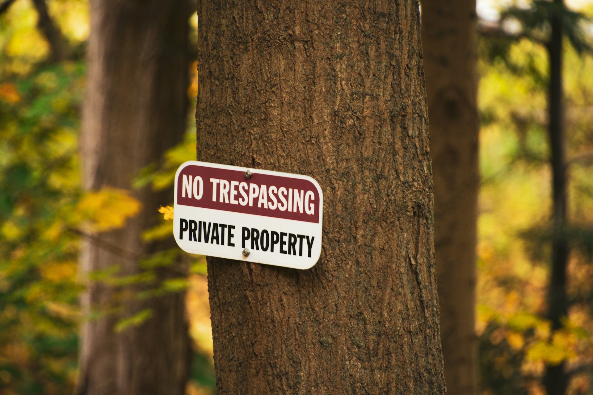 Una señal de advertencia clavada en un árbol | Fuente: Unsplash
