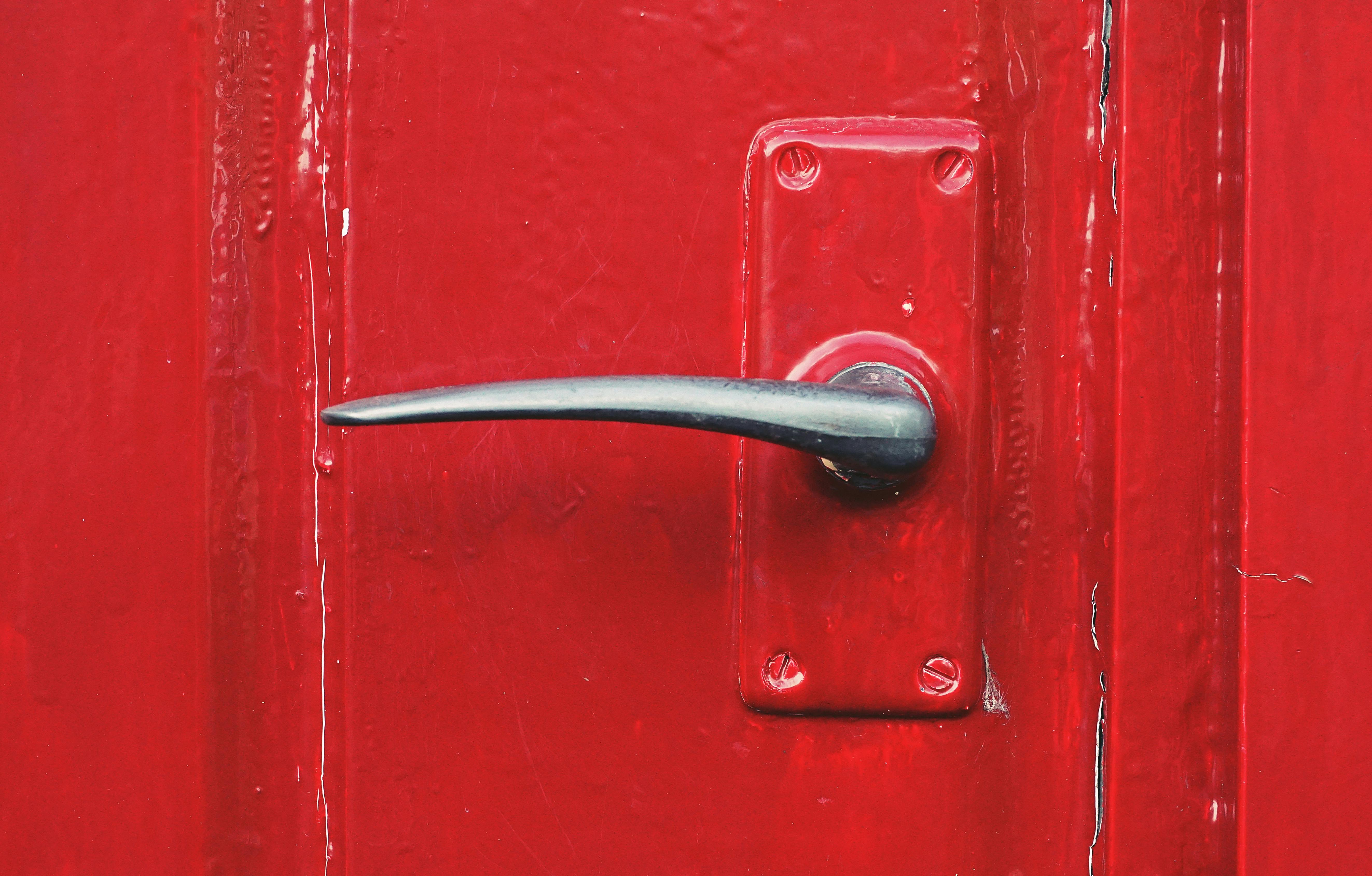 Imagen con fines ilustrativos | Foto: Pexels