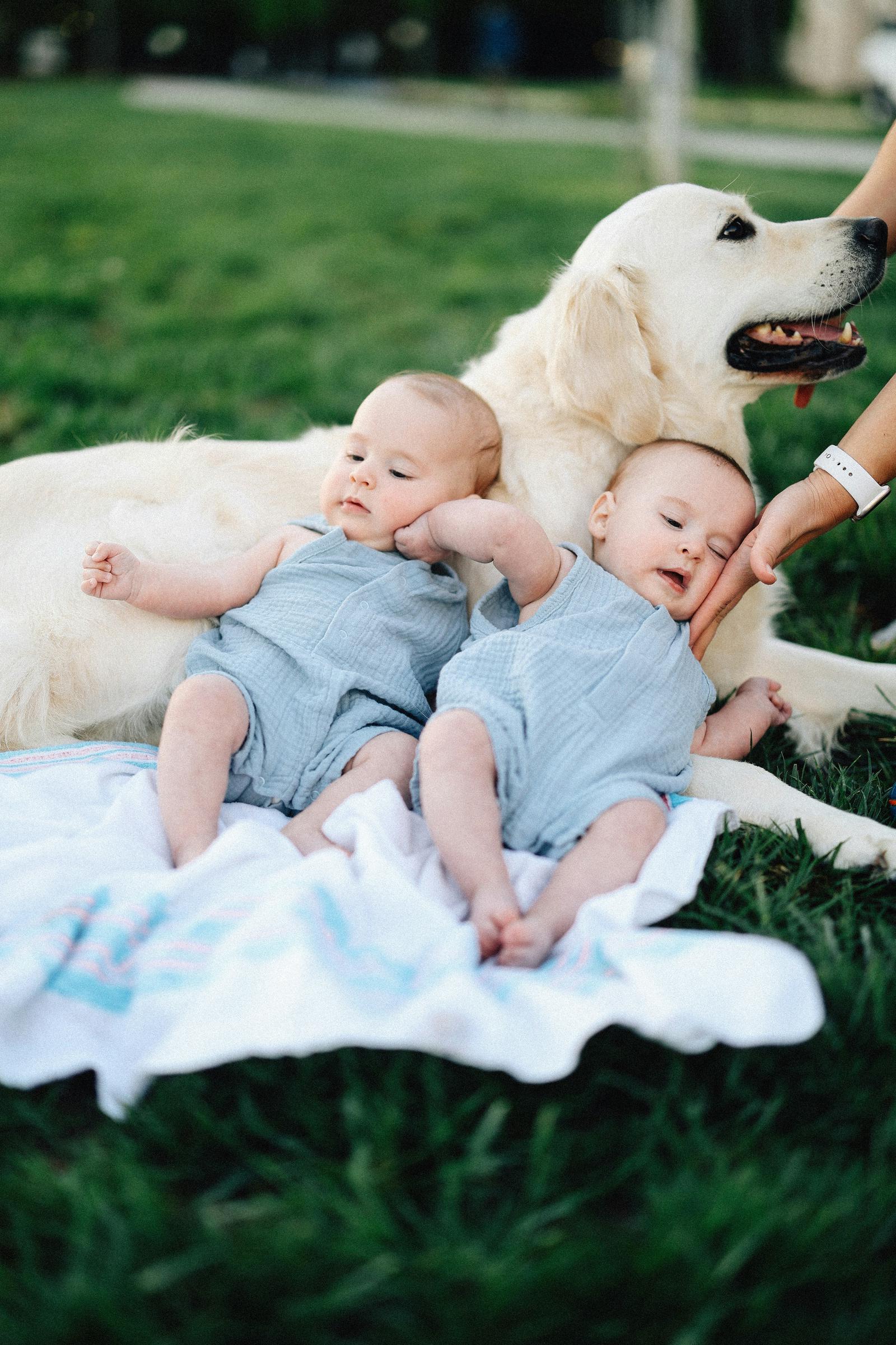 Niños tumbados sobre un perro | Fuente: Unsplash