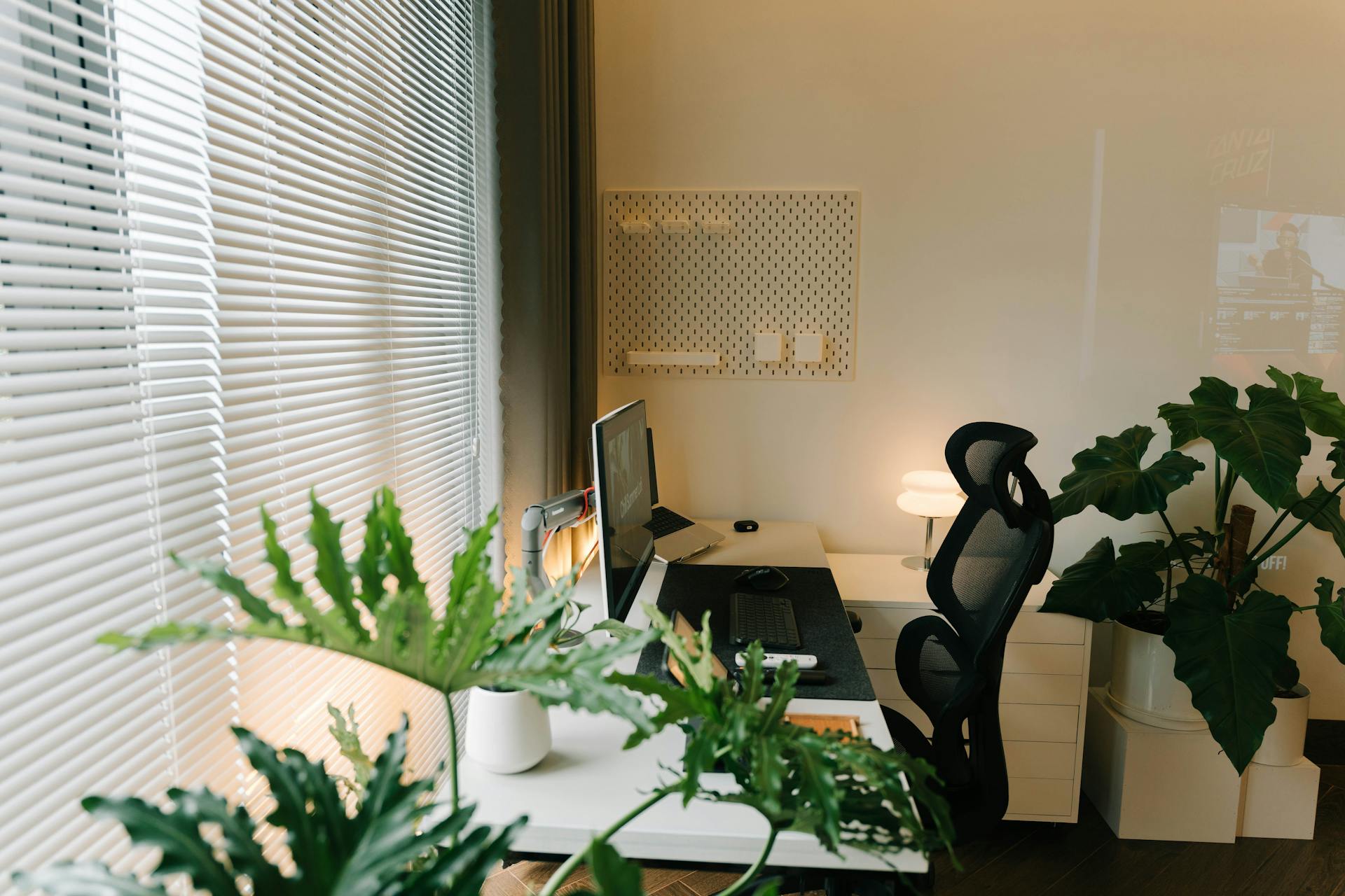 Plantas en una oficina | Fuente: Pexels