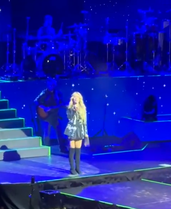 Cris Morena sobre el escenario del Movistar Arena en Buenos Aires. | Fuente: X/GZaffora