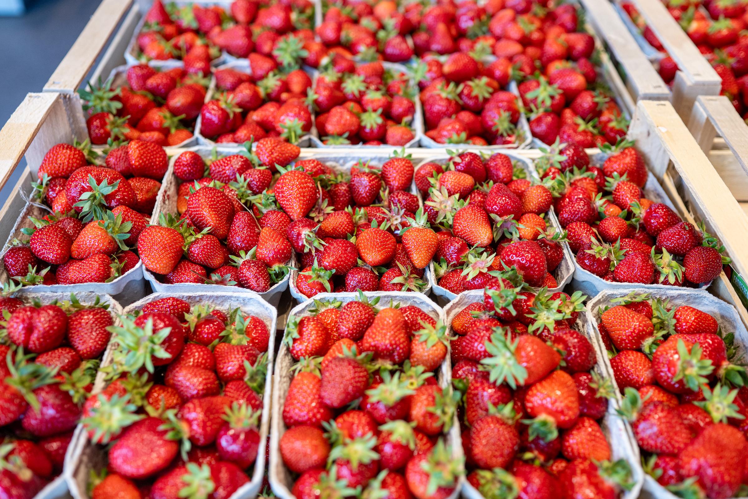 Fresas puestas a la venta en bandejas, | Fuente: Getty Images