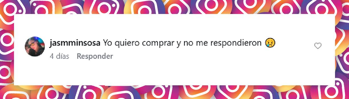 Comentario de una usuaria | Fuente: Instagram/alotamibaez