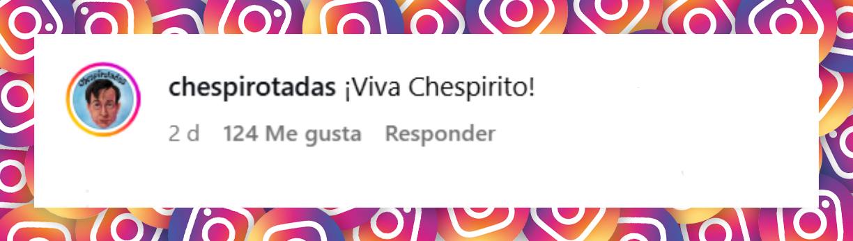 Comentario de una persona ante el video de Florinda Meza | Fuente: Instagram/florindamezach1