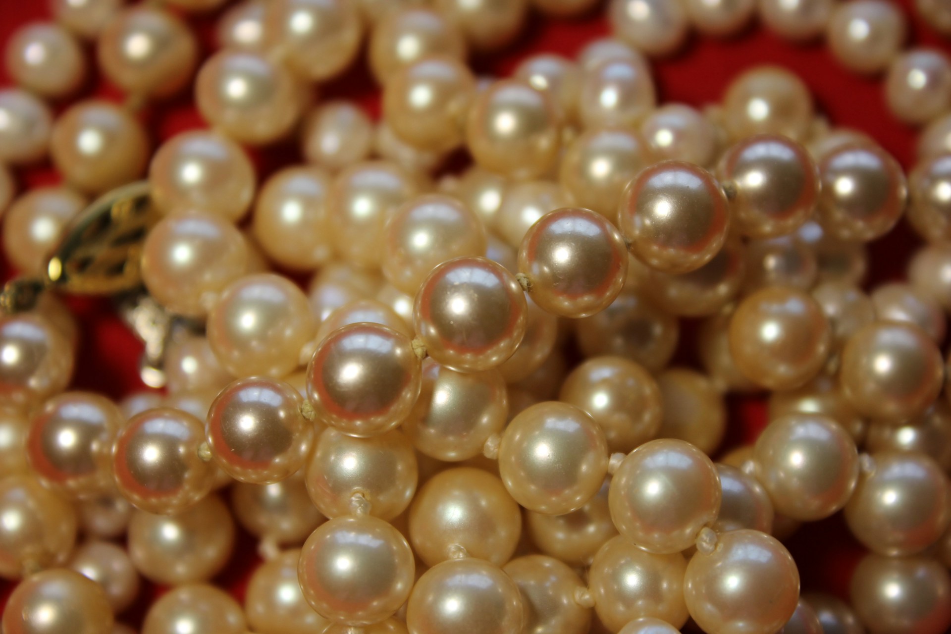 Primer plano de perlas | Fuente: Unsplash