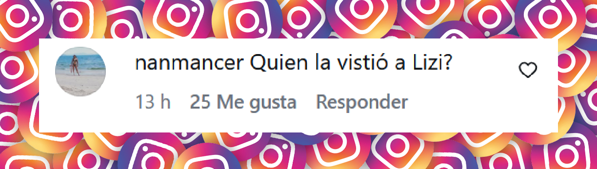 Comentario de una persona sobre el atuendo de Lizy Tagliani para los premios Martín Fierro 2026 | Fuente: Instagram/telefe