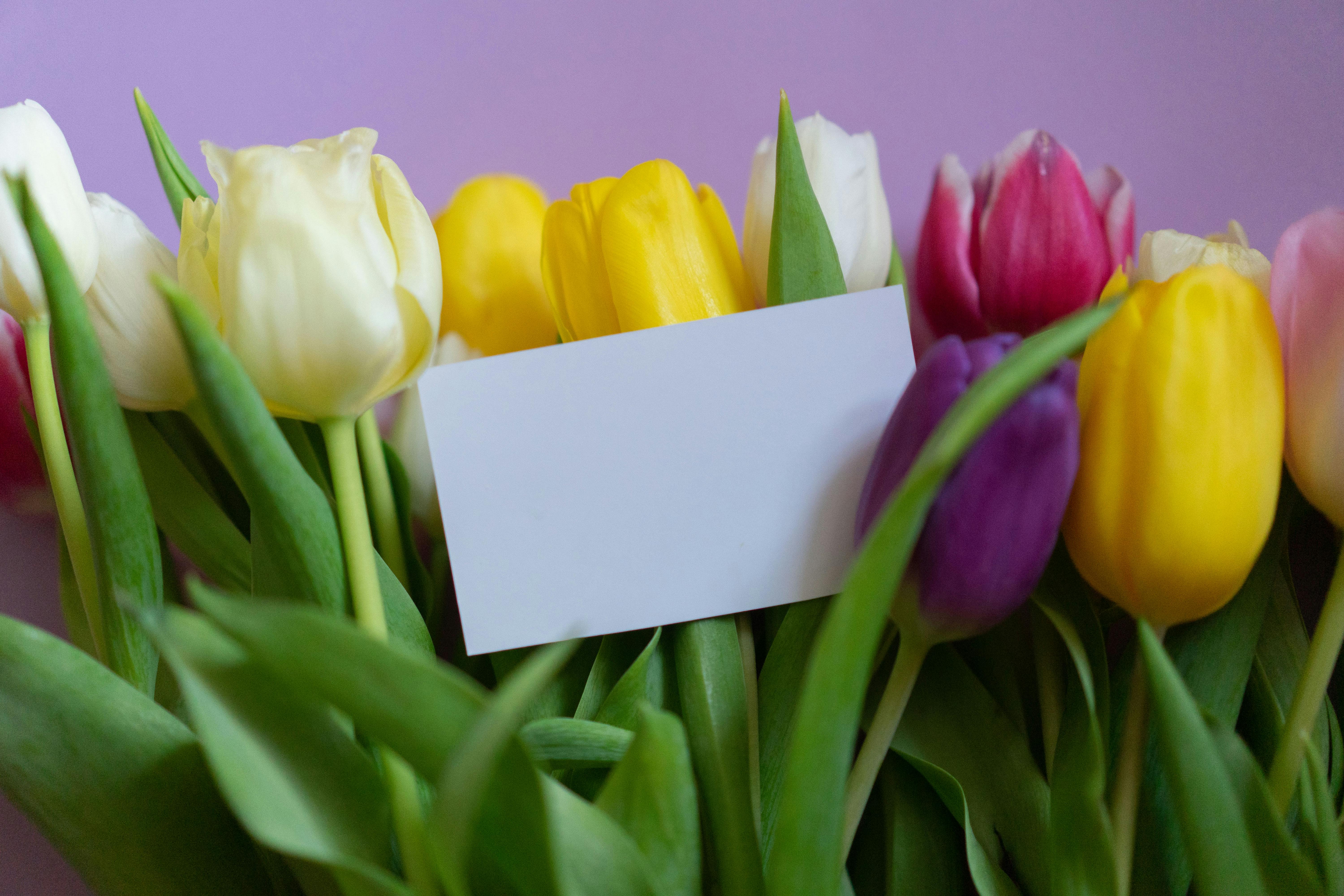 Una tarjeta con flores | Fuente: Pexels