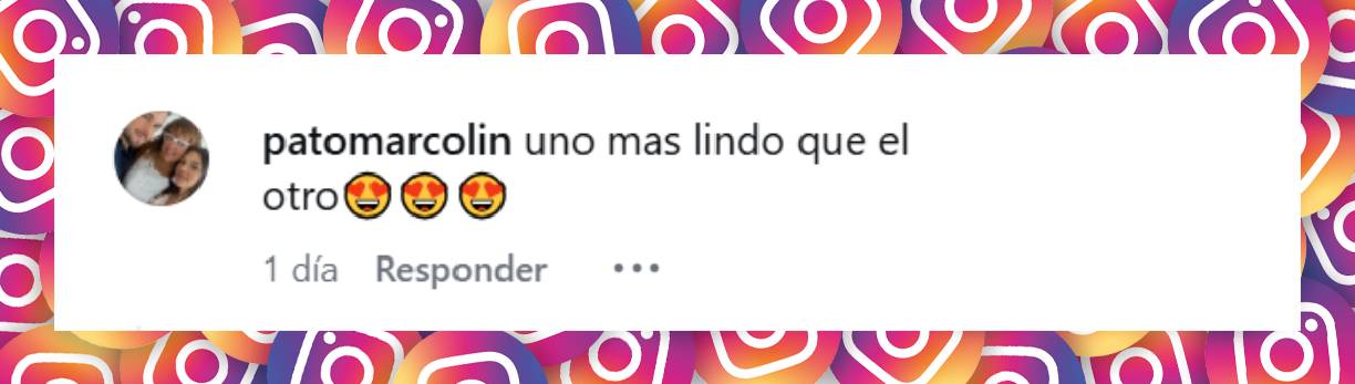 Comentario de una usuaria | Fuente: Instagram/rojassasi