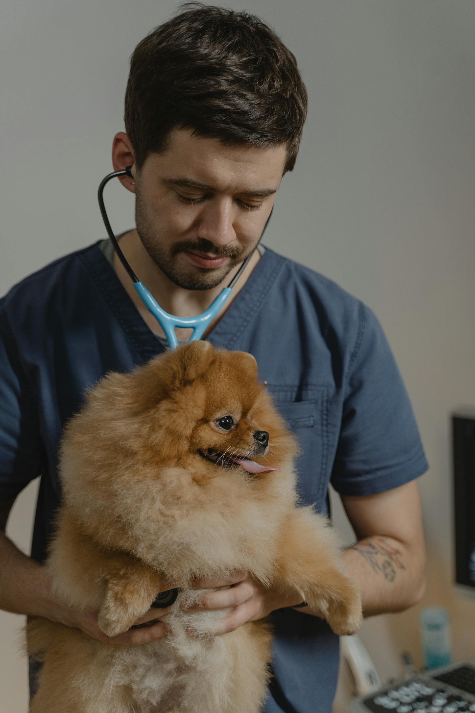 Un veterinario sujetando a un perro | Fuente: Pexels