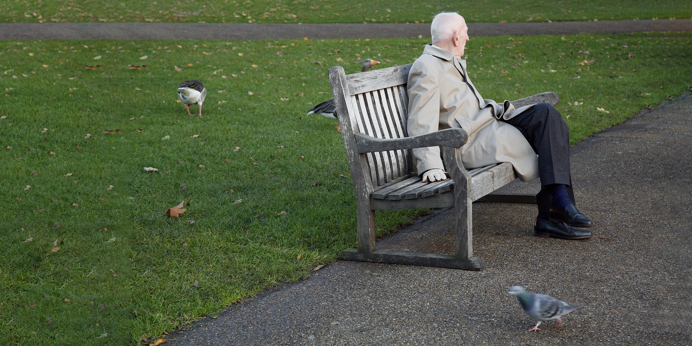 Anciano sentado en el banco | Fuente: Shutterstock