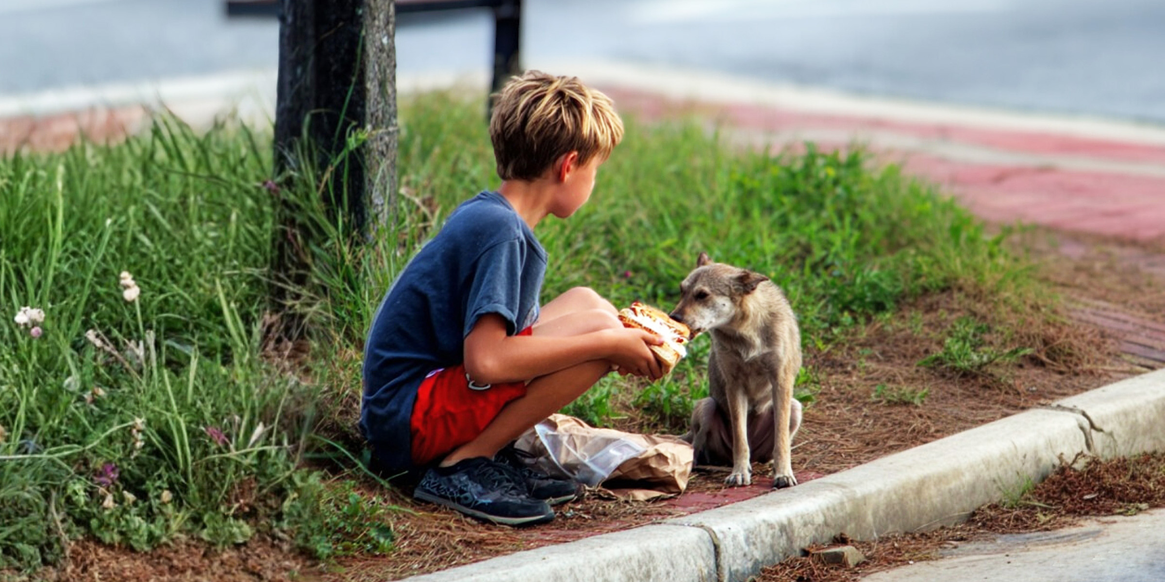 Un niño dando de comer a un perro | Fuente: Midjourney