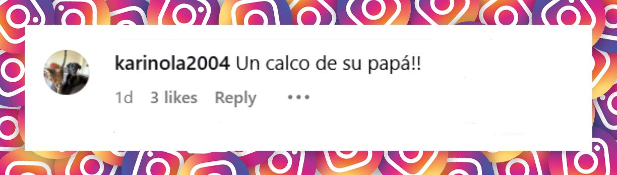 Comentario de una usuaria sobre el parecido de Gina, la hija de Emilia Attías con su padre, el Turco Naim | Fuente: Instagram/emilia_att