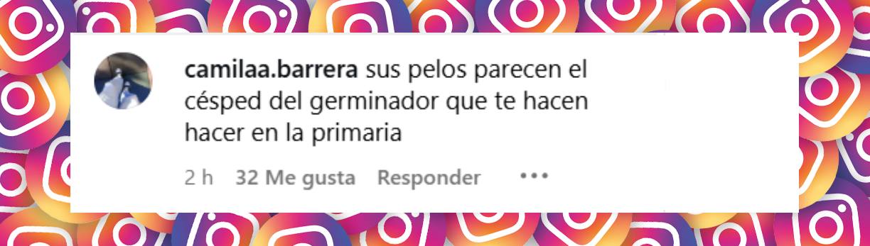 Comentario de una internauta | Fuente: Instagram/mauroicardi
