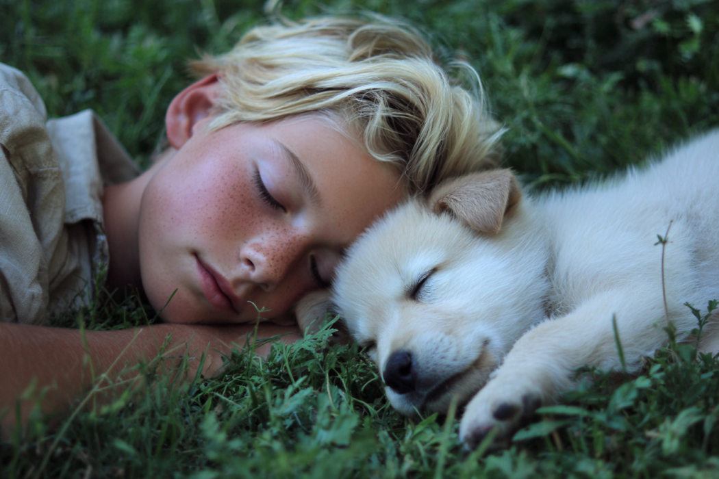 Un niño tumbado junto a un cachorro en la hierba | Fuente: Midjourney
