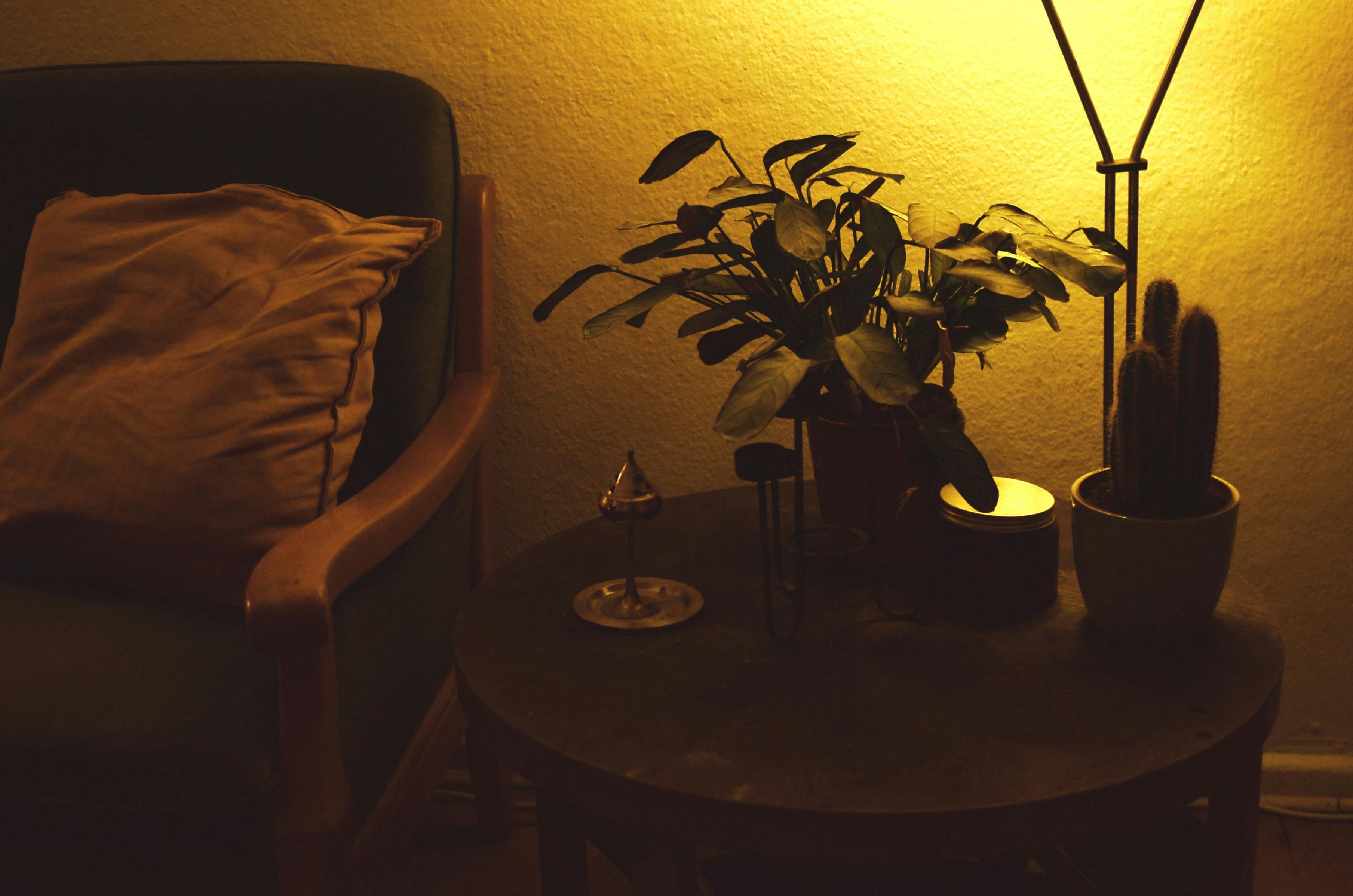 Imagen con fines ilustrativos | Foto: Pexels