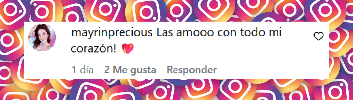 Comentario de una usuaria sobre Mayrín Villanueva y su hija Romina Poza | Fuente: Instagram/mayrinvillaneva