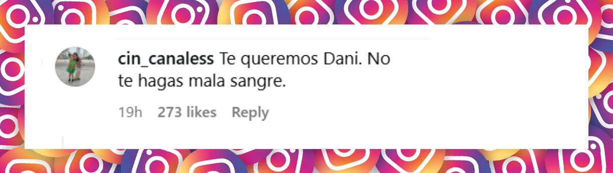 Comentario de una usuaria | Fuente: Instagram/danielgrinaldi