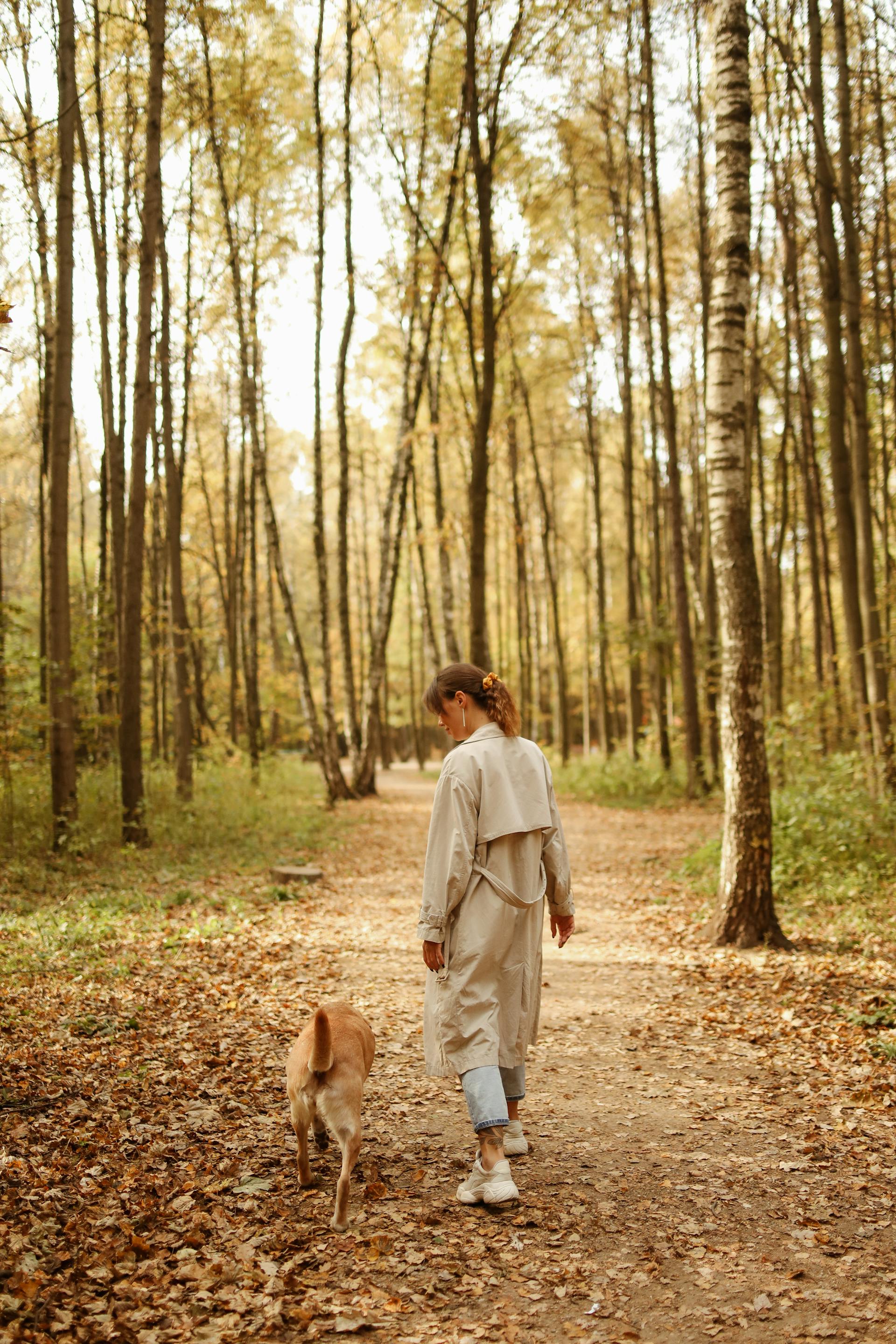 Una mujer paseando con su perro por el bosque | Fuente: Pexels