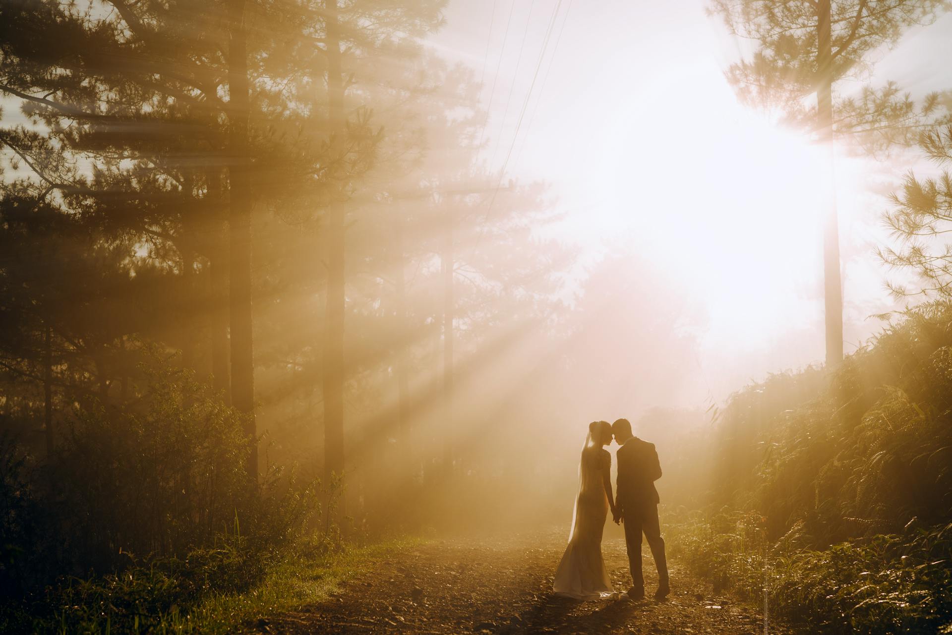 Pareja de novios en un bosque con el sol brillando a través de los árboles | Fuente: Pexels