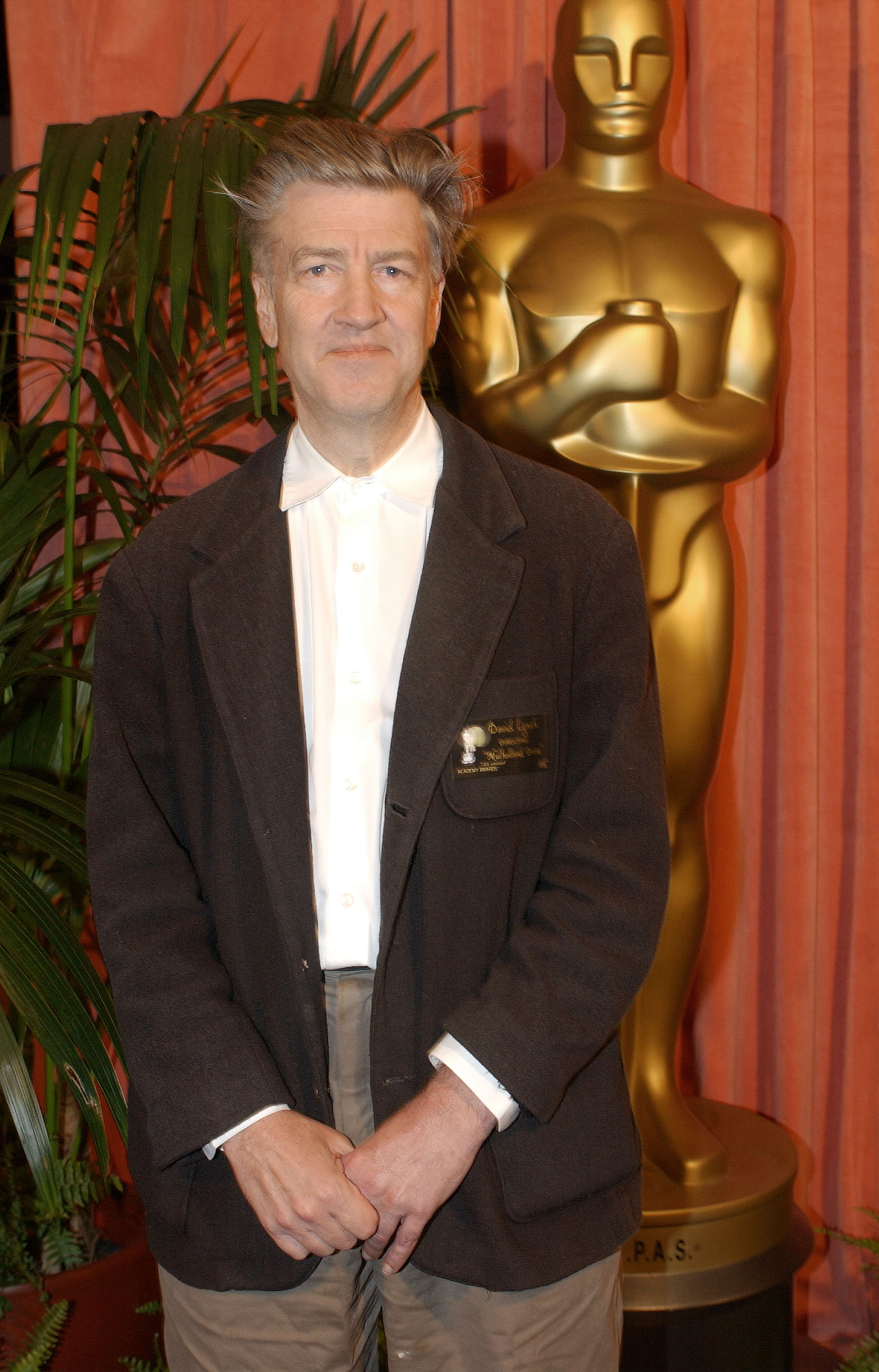 David Lynch en el 74º Almuerzo Anual de Nominados a los Premios de la Academia, el 11 de marzo de 2002. | Fuente: Getty Images