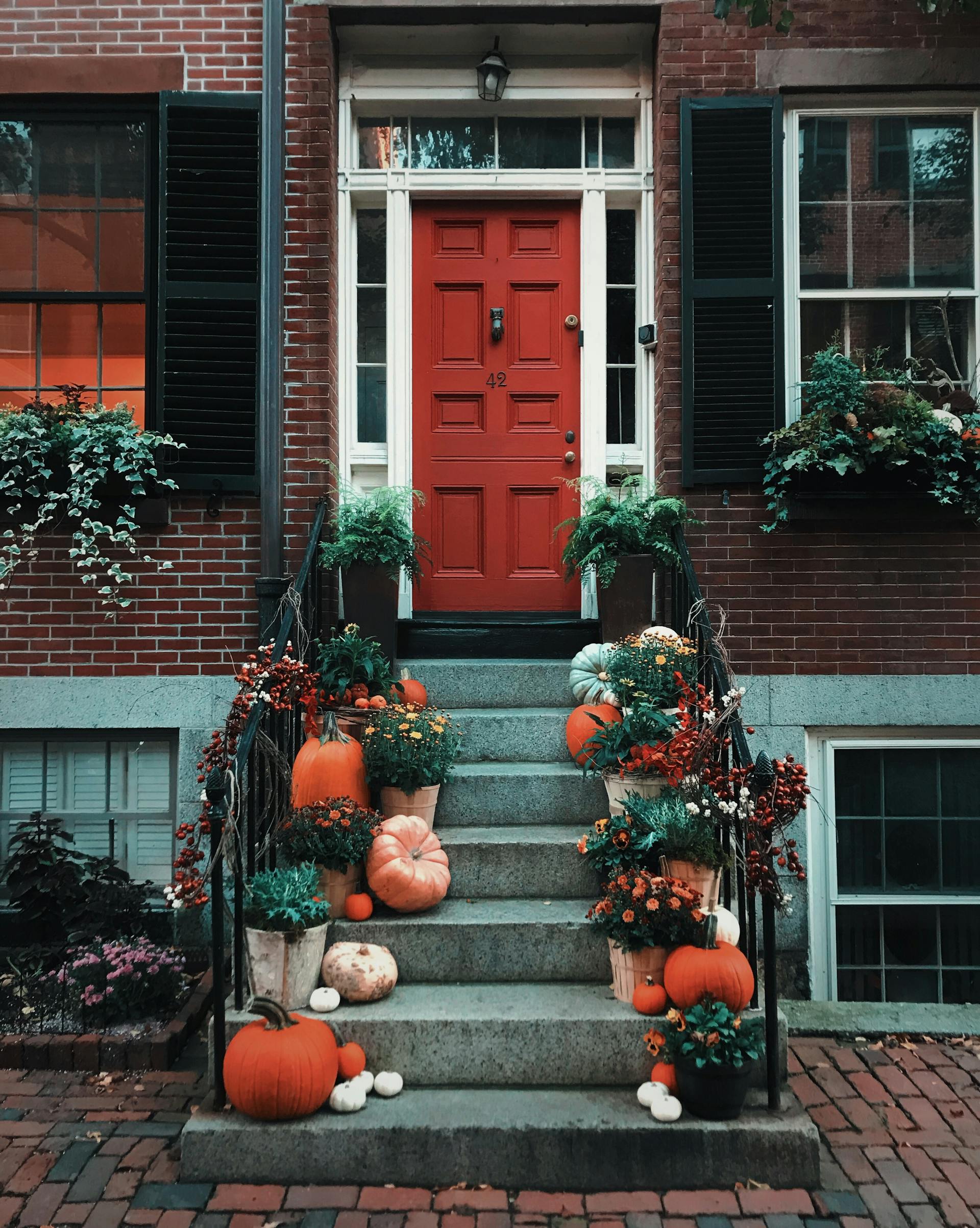 Calabazas alineadas en la escalera delante de una puerta | Fuente: Pexels